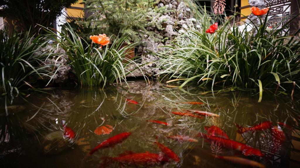 Lijiang Wangjia Courtyard Inn المظهر الخارجي الصورة