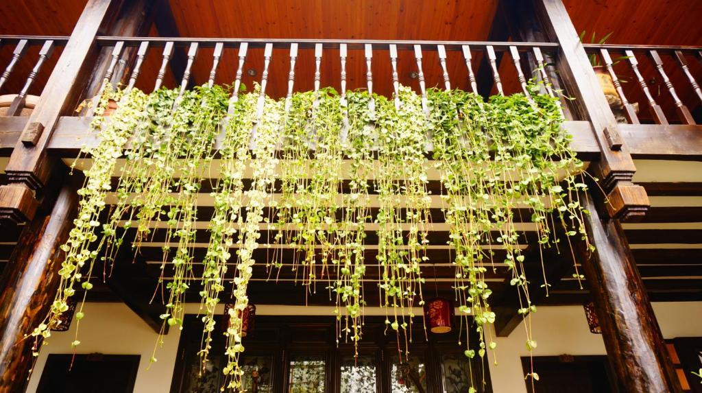 Lijiang Wangjia Courtyard Inn المظهر الخارجي الصورة